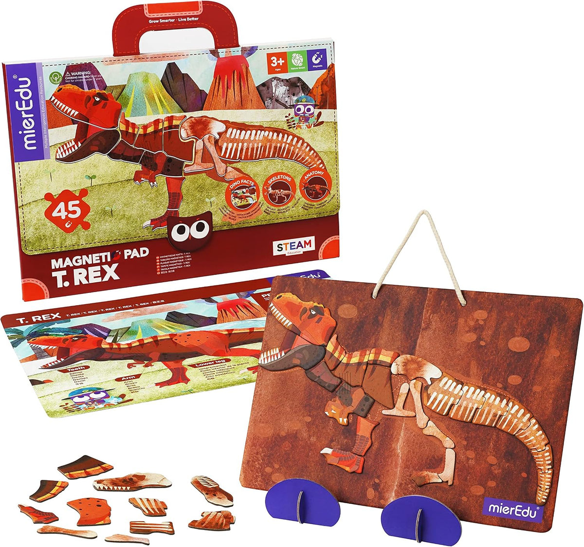 Tavoletta Magnetica T-Rex con 45 Magneti MierEdu